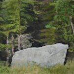 In einem Wald auf Bornholm