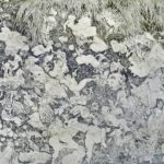 Nordische-Tanzenclave